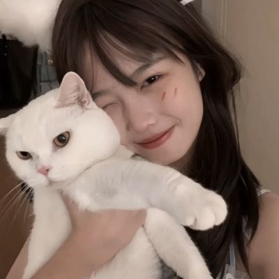 中尧一飞冲天官方版下载